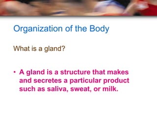 Organization of the Body

What is a gland?


• A gland is a structure that makes
  and secretes a particular product
  such as saliva, sweat, or milk.
 