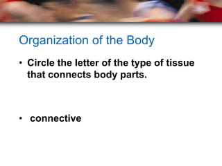 Organization of the Body
• Circle the letter of the type of tissue
  that connects body parts.



• connective
 