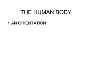THE HUMAN BODY ,[object Object]