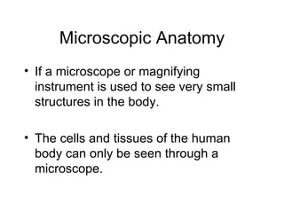 Human Body Systems | PPT
