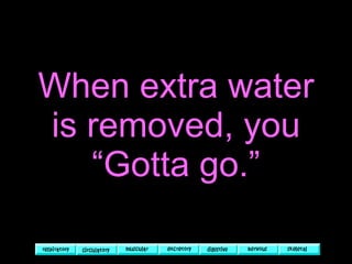 When extra water is removed, you “Gotta go.” 