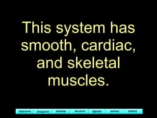 This system has smooth, cardiac, and skeletal muscles. 