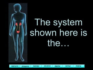 The system shown here is the… 