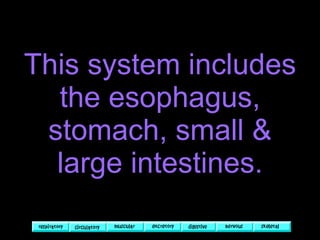 This system includes the esophagus, stomach, small & large intestines. 