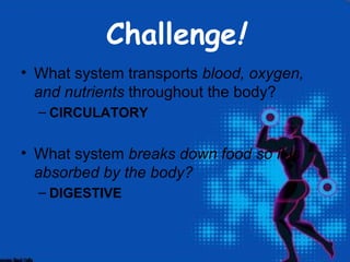 Challenge!
• What system transports blood, oxygen,
  and nutrients throughout the body?
  – CIRCULATORY


• What system breaks down food so it is
  absorbed by the body?
  – DIGESTIVE
 