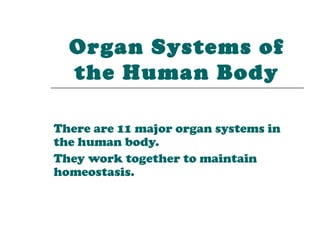 Organ Systems of
  the Human Body

There are 11 major organ systems in
the human body.
They work together to maintain
homeostasis.
 