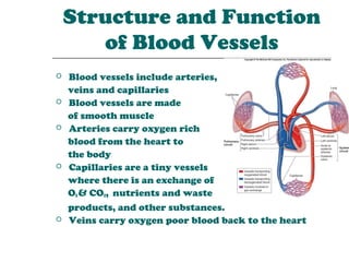 Structure and Function
       of Blood Vessels
   Blood vessels include arteries,
    veins and capillaries
   Blood vessels are made
    of smooth muscle
   Arteries carry oxygen rich
    blood from the heart to
    the body
   Capillaries are a tiny vessels
    where there is an exchange of
    O2 & CO2, nutrients and waste
    products, and other substances.
   Veins carry oxygen poor blood back to the heart
 