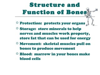 Structure and
     Function of Bones
   Protection: protects your organs
   Storage: store minerals to help
    nerves and muscles work property,
    store fat that can be used for energy
   Movement: skeletal muscles pull on
    bones to produce movement
   Blood: marrow in your bones make
    blood cells
 