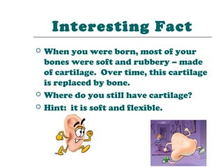 Interesting Fact
   When you were born, most of your
    bones were soft and rubbery – made
    of cartilage. Over time, this cartilage
    is replaced by bone.
   Where do you still have cartilage?
   Hint: it is soft and flexible.
 