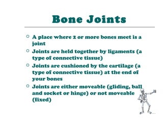Bone Joints
   A place where 2 or more bones meet is a
    joint
   Joints are held together by ligaments (a
    type of connective tissue)
   Joints are cushioned by the cartilage (a
    type of connective tissue) at the end of
    your bones
   Joints are either moveable (gliding, ball
    and socket or hinge) or not moveable
    (fixed)
 