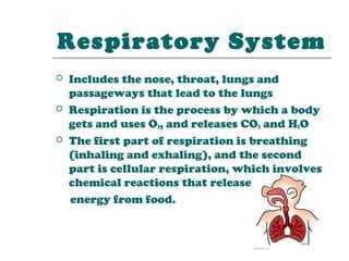 Respiratory System
   Includes the nose, throat, lungs and
    passageways that lead to the lungs
   Respiration is the process by which a body
    gets and uses O2, and releases CO2 and H2O
   The first part of respiration is breathing
    (inhaling and exhaling), and the second
    part is cellular respiration, which involves
    chemical reactions that release
    energy from food.
 