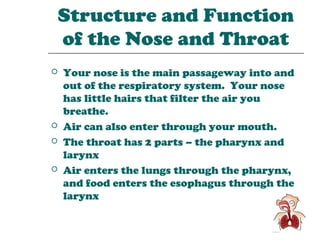 Structure and Function
of the Nose and Throat
   Your nose is the main passageway into and
    out of the respiratory system. Your nose
    has little hairs that filter the air you
    breathe.
   Air can also enter through your mouth.
   The throat has 2 parts – the pharynx and
    larynx
   Air enters the lungs through the pharynx,
    and food enters the esophagus through the
    larynx
 