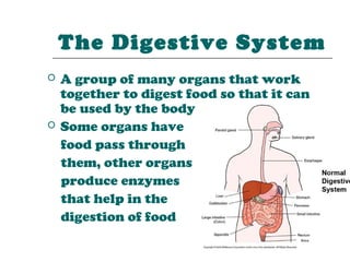 The Digestive System
   A group of many organs that work
    together to digest food so that it can
    be used by the body
   Some organs have
    food pass through
    them, other organs
    produce enzymes
    that help in the
    digestion of food
 