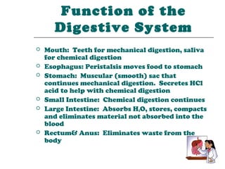 Function of the
      Digestive System
   Mouth: Teeth for mechanical digestion, saliva
    for chemical digestion
   Esophagus: Peristalsis moves food to stomach
   Stomach: Muscular (smooth) sac that
    continues mechanical digestion. Secretes HCl
    acid to help with chemical digestion
   Small Intestine: Chemical digestion continues
   Large Intestine: Absorbs H2O, stores, compacts
    and eliminates material not absorbed into the
    blood
   Rectum& Anus: Eliminates waste from the
    body
 