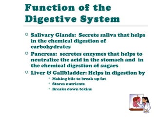 Function of the
Digestive System
   Salivary Glands: Secrete saliva that helps
    in the chemical digestion of
    carbohydrates
   Pancreas: secretes enzymes that helps to
    neutralize the acid in the stomach and in
    the chemical digestion of sugars
   Liver & Gallbladder: Helps in digestion by
             Making bile to break up fat
             Stores nutrients
             Breaks down toxins
 