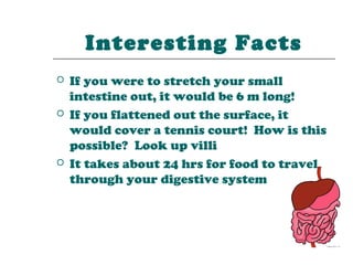 Interesting Facts
   If you were to stretch your small
    intestine out, it would be 6 m long!
   If you flattened out the surface, it
    would cover a tennis court! How is this
    possible? Look up villi
   It takes about 24 hrs for food to travel
    through your digestive system
 
