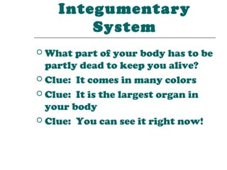 Integumentary
        System
 What part of your body has to be
  partly dead to keep you alive?
 Clue: It comes in many colors

 Clue: It is the largest organ in
  your body
 Clue: You can see it right now!
 