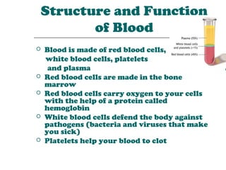 Structure and Function
       of Blood
   Blood is made of red blood cells,
    white blood cells, platelets
     and plasma
   Red blood cells are made in the bone
    marrow
   Red blood cells carry oxygen to your cells
    with the help of a protein called
    hemoglobin
   White blood cells defend the body against
    pathogens (bacteria and viruses that make
    you sick)
   Platelets help your blood to clot
 