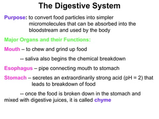 The Digestive System
Purpose: to convert food particles into simpler
         micromolecules that can be absorbed into the
         bloodstream and used by the body
Major Organs and their Functions:
Mouth – to chew and grind up food
      -- saliva also begins the chemical breakdown
Esophagus – pipe connecting mouth to stomach
Stomach – secretes an extraordinarily strong acid (pH = 2) that
          leads to breakdown of food
      -- once the food is broken down in the stomach and
mixed with digestive juices, it is called chyme
 