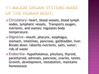  Circulatory—heart, blood vessels, blood lymph
 nodes, lymphatic vessels. Transports oxygen,
 nutrients, and wastes; regulates body
 temperature.
 Digestive—mouth,  pharynx, esophagus,
 stomach, intestines, pancreas, gallbladder, liver.
 Breaks down /absorbs nutrients, salts, water;
 rids of waste
 Endocrine—hypothalamus,   pituitary, thyroid,
 parathyroid, adrenals, pancreas, ovaries, testes.
 Growth, development, metabolism, maintains
 homeostasis
 