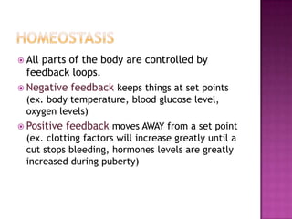 Allparts of the body are controlled by
  feedback loops.
 Negative feedback keeps things at set points
  (ex. body temperature, blood glucose level,
  oxygen levels)
 Positive   feedback moves AWAY from a set point
  (ex. clotting factors will increase greatly until a
  cut stops bleeding, hormones levels are greatly
  increased during puberty)
 