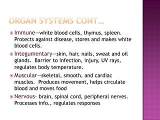  Immune—white    blood cells, thymus, spleen.
 Protects against disease, stores and makes white
 blood cells.
 Integumentary—skin,   hair, nails, sweat and oil
 glands. Barrier to infection, injury, UV rays,
 regulates body temperature.
 Muscular—skeletal,smooth, and cardiac
 muscles. Produces movement, helps circulate
 blood and moves food
 Nervous– brain, spinal cord, peripheral nerves.
 Processes info., regulates responses
 