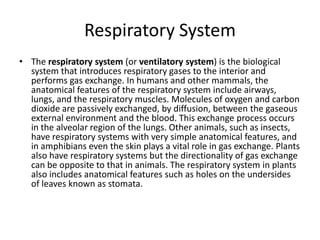 Respiratory System
• The respiratory system (or ventilatory system) is the biological
system that introduces respiratory gases to the interior and
performs gas exchange. In humans and other mammals, the
anatomical features of the respiratory system include airways,
lungs, and the respiratory muscles. Molecules of oxygen and carbon
dioxide are passively exchanged, by diffusion, between the gaseous
external environment and the blood. This exchange process occurs
in the alveolar region of the lungs. Other animals, such as insects,
have respiratory systems with very simple anatomical features, and
in amphibians even the skin plays a vital role in gas exchange. Plants
also have respiratory systems but the directionality of gas exchange
can be opposite to that in animals. The respiratory system in plants
also includes anatomical features such as holes on the undersides
of leaves known as stomata.
 