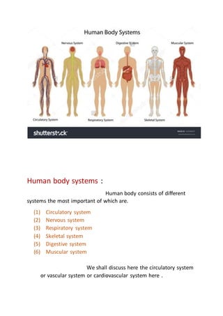 Human body systems :
Human body consists of different
systems the most important of which are.
(1) Circulatory system
(2) Nervous system
(3) Respiratory system
(4) Skeletal system
(5) Digestive system
(6) Muscular system
We shall discuss here the circulatory system
or vascular system or cardiovascular system here .
 