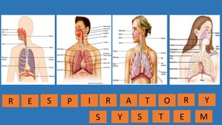 R E S P I R A T O
S Y S T E M
R Y
 