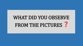 WHAT DID YOU OBSERVE
FROM THE PICTURES ?
 