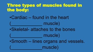 Three types of muscles found in
the body:
•Cardiac – found in the heart
(____________ muscle)
•Skeletal- attaches to the bones
(____________ muscle)
•Smooth – lines organs and vessels.
(____________muscle)
 