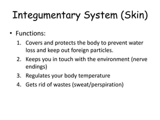 Integumentary System (Skin)
• Functions:
1. Covers and protects the body to prevent water
loss and keep out foreign particles.
2. Keeps you in touch with the environment (nerve
endings)
3. Regulates your body temperature
4. Gets rid of wastes (sweat/perspiration)
 