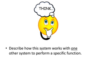 THINK…
• Describe how this system works with one
other system to perform a specific function.
 