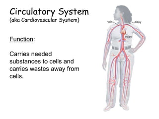 Circulatory System
(aka Cardiovascular System)
Function:
Carries needed
substances to cells and
carries wastes away from
cells.
 