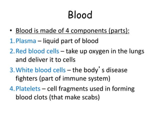 Blood
• Blood is made of 4 components (parts):
1.Plasma – liquid part of blood
2.Red blood cells – take up oxygen in the lungs
and deliver it to cells
3.White blood cells – the body’s disease
fighters (part of immune system)
4.Platelets – cell fragments used in forming
blood clots (that make scabs)
 