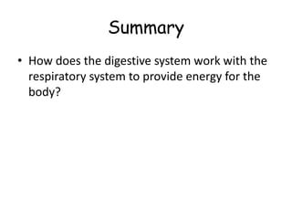 Summary
• How does the digestive system work with the
respiratory system to provide energy for the
body?
 