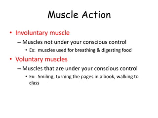 Muscle Action
• Involuntary muscle
– Muscles not under your conscious control
• Ex: muscles used for breathing & digesting food
• Voluntary muscles
– Muscles that are under your conscious control
• Ex: Smiling, turning the pages in a book, walking to
class
 