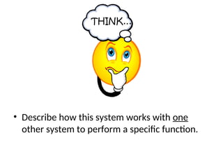 Identifying the different Human Body Systems.ppt