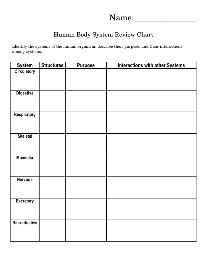 Human Body Systems Interactions Chart