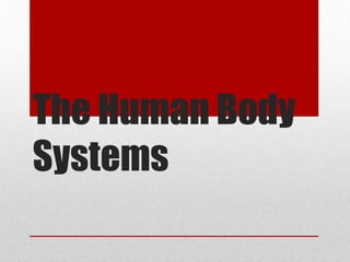 The Human Body 
Systems 
 