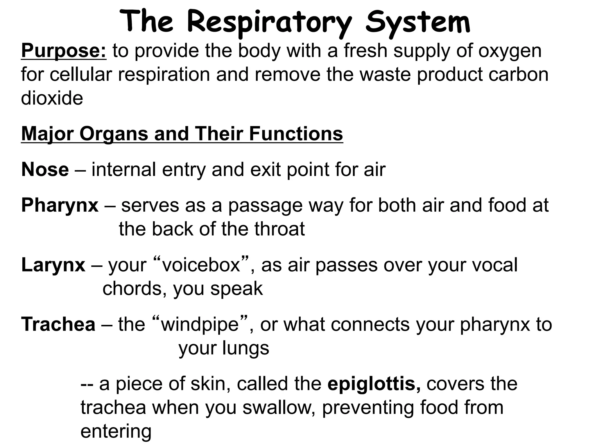 The Respiratory System
Purpose: to provide the body with a fresh supply of oxygen
for cellular respiration and remove the waste product carbon
dioxide
Major Organs and Their Functions
Nose – internal entry and exit point for air
Pharynx – serves as a passage way for both air and food at
the back of the throat
Larynx – your “voicebox”, as air passes over your vocal
chords, you speak
Trachea – the “windpipe”, or what connects your pharynx to
your lungs
-- a piece of skin, called the epiglottis, covers the
trachea when you swallow, preventing food from
entering
 