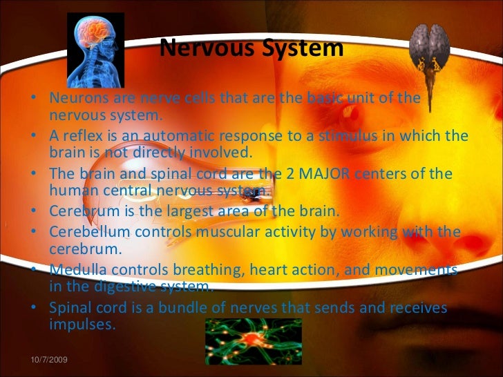 Human body systems for kids