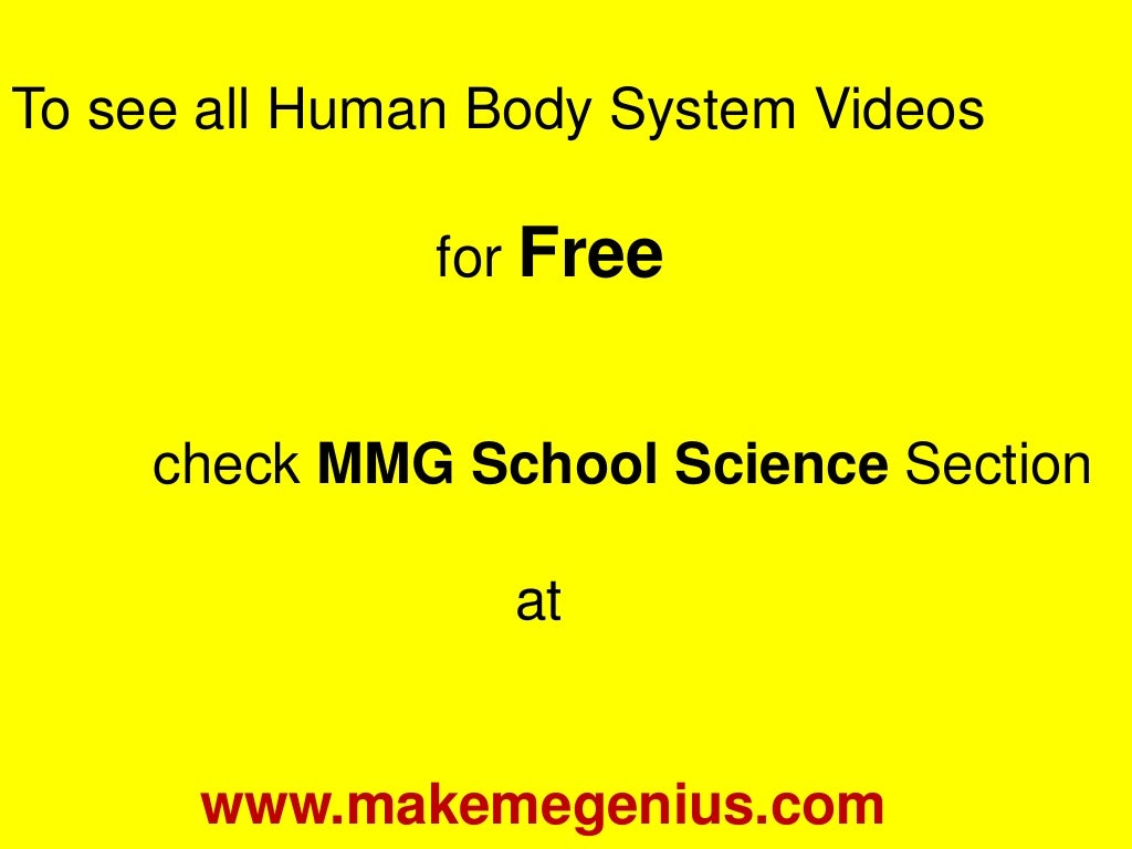 Human body systems for kids
