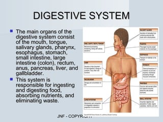 DIGESTIVE SYSTEM
   The main organs of the
    digestive system consist
    of the mouth, tongue,
    salivary glands, pharynx,
    esophagus, stomach,
    small intestine, large
    intestine (colon), rectum,
    anus, pancreas, liver, and
    gallbladder.
   This system is
    responsible for ingesting
    and digesting food,
    absorbing nutrients, and
    eliminating waste.

                     JNF - COPYRIGHT
 