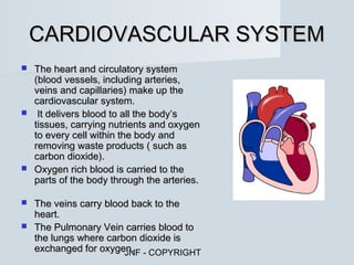 CARDIOVASCULAR SYSTEM
 The heart and circulatory system
  (blood vessels, including arteries,
  veins and capillaries) make up the
  cardiovascular system.
 It delivers blood to all the body’s
  tissues, carrying nutrients and oxygen
  to every cell within the body and
  removing waste products ( such as
  carbon dioxide).
 Oxygen rich blood is carried to the
  parts of the body through the arteries.

 The veins carry blood back to the
  heart.
 The Pulmonary Vein carries blood to
  the lungs where carbon dioxide is
  exchanged for oxygen. - COPYRIGHT
                      JNF
 