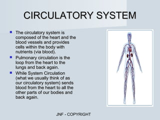 CIRCULATORY SYSTEM
 The circulatory system is
  composed of the heart and the
  blood vessels and provides
  cells within the body with
  nutrients (via blood).
 Pulmonary circulation is the
  loop from the heart to the
  lungs and back again.
 While System Circulation
  (what we usually think of as
  our circulatory system) sends
  blood from the heart to all the
  other parts of our bodies and
  back again.


                       JNF - COPYRIGHT
 