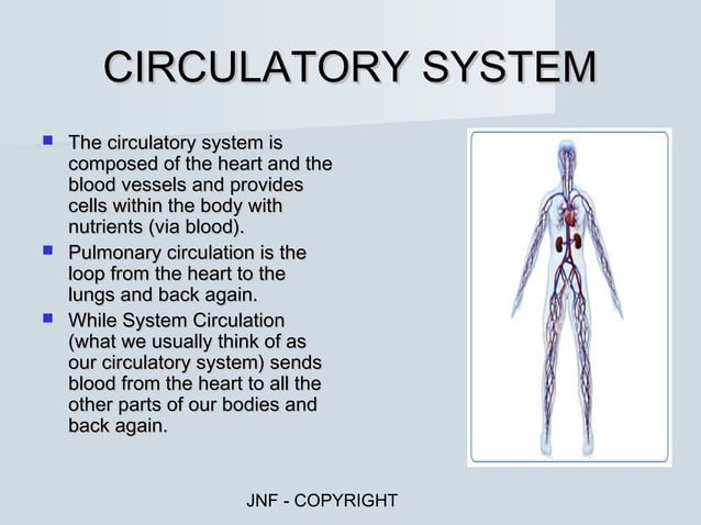 HUMAN BODY SYSTEMS FUNCTIONS OVERVIEW visual data 3
