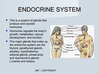 ENDOCRINE SYSTEM
 This is a system of glands that
  produce and secrete
  hormones.
 Hormones regulate the body’s
  growth, metabolism, sexual
  development, and function.
 The major glands that make up
  the endocrine system are the
  thyroid, parathyroid glands,
  pituitary, hypothalamus,
  adrenal glands, pineal body
  and reproductive glands
  ( ovaries and testes).


                      JNF - COPYRIGHT
 