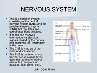 NERVOUS SYSTEM
 This is a complex system
  consisting of the central
  nervous system (CNS) and the
  peripheral nervous system
  (PNS) that regulates and
  coordinates body activities.
 It sends and receives
  information via electrical
  signals carried by the nerves
  and interprets that information
  in the brain.
 The CNS is mad up of the
  brain and spinal cord.
 The PNS is made up of our
  nerves, sense organs (eyes,
  ears, etc.) and other neural
  elements ( receptors in
  muscles, skin, joints, etc.).
                      JNF - COPYRIGHT
 