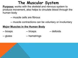 Human bodysystems powerpoint 2013 | PPTX